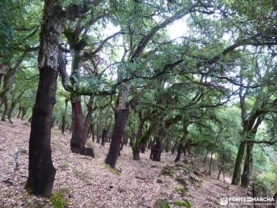 El Bierzo;Busmayor;León;pueblos con encanto torrelaguna botas de montaña camino